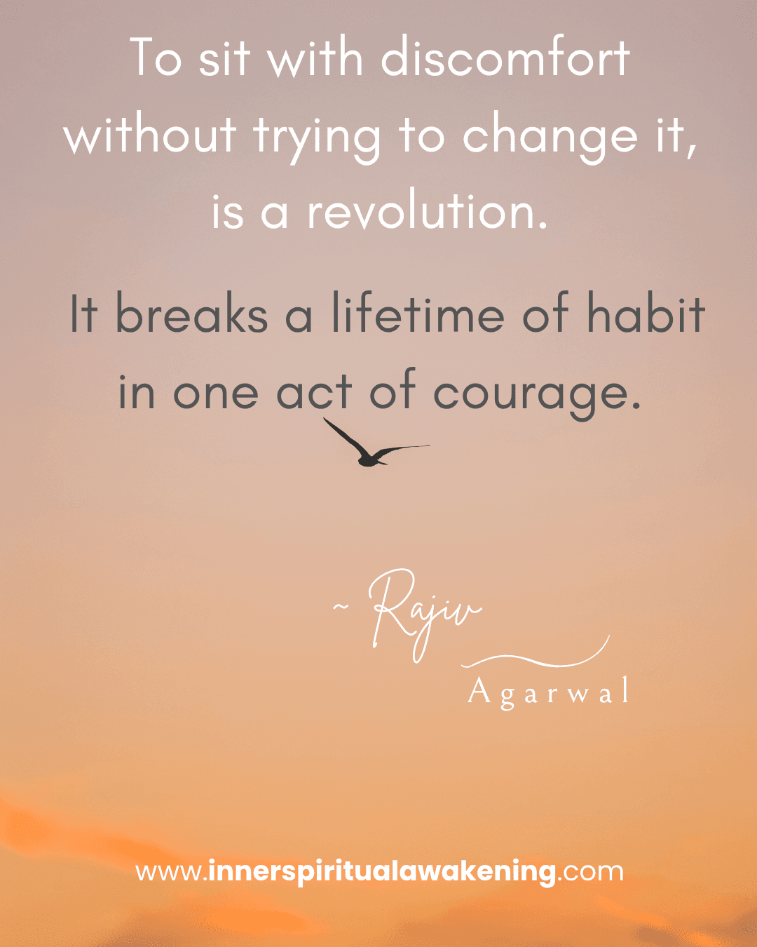 100 To sit with discomfort without trying to change it, is a revolution. It breaks a lifetime of habit in one act of courage