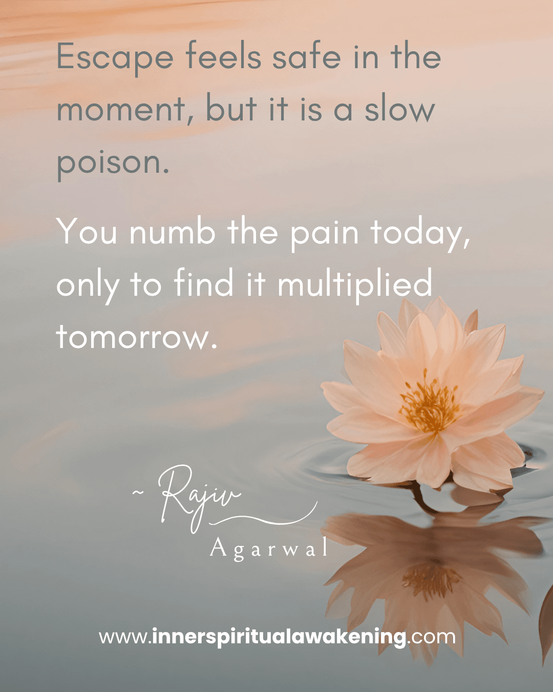 108 Escape feels safe in the moment, but it is a slow poison. You numb the pain today, only to find it multiplied tomorrow