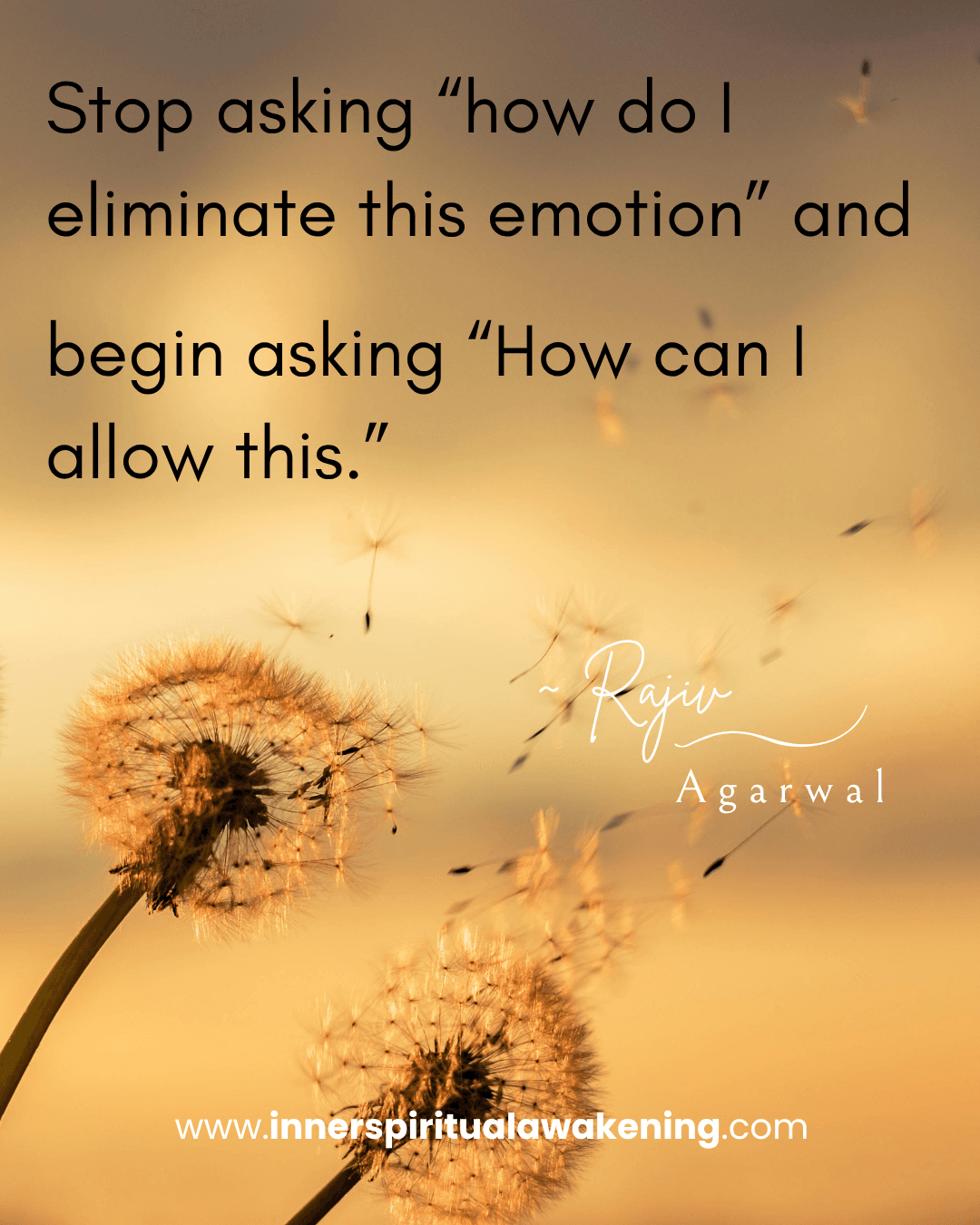 116 Stop asking “how do I eliminate this emotion” and begin asking “How can I allow this.”