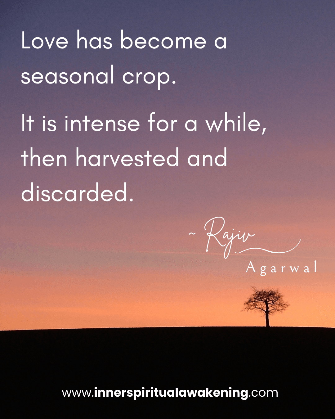 135 Love has become a seasonal crop. It is intense for a while, then harvested and discarded
