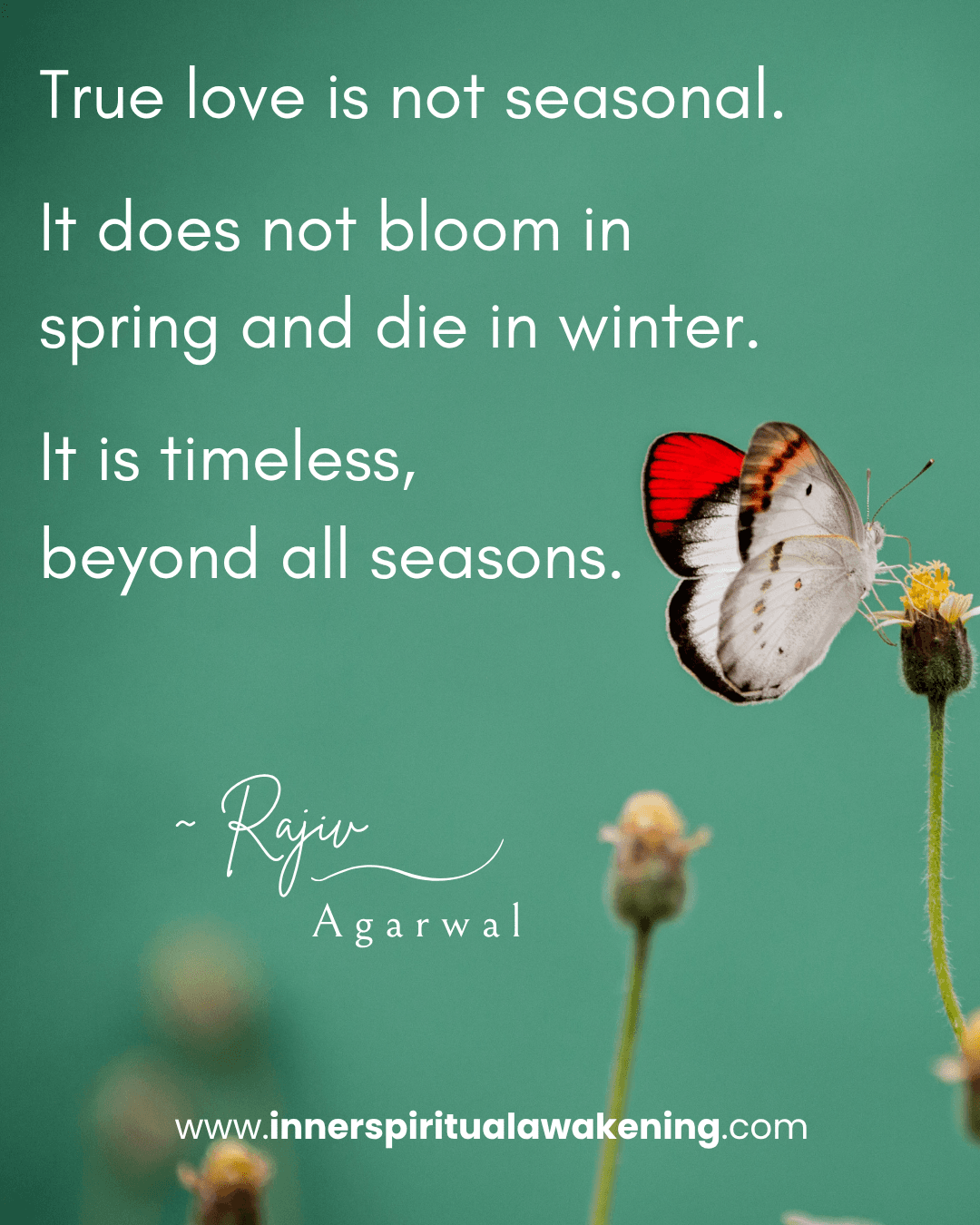 151 True love is not seasonal. It does not bloom in spring and die in winter. It is timeless, beyond all seasons