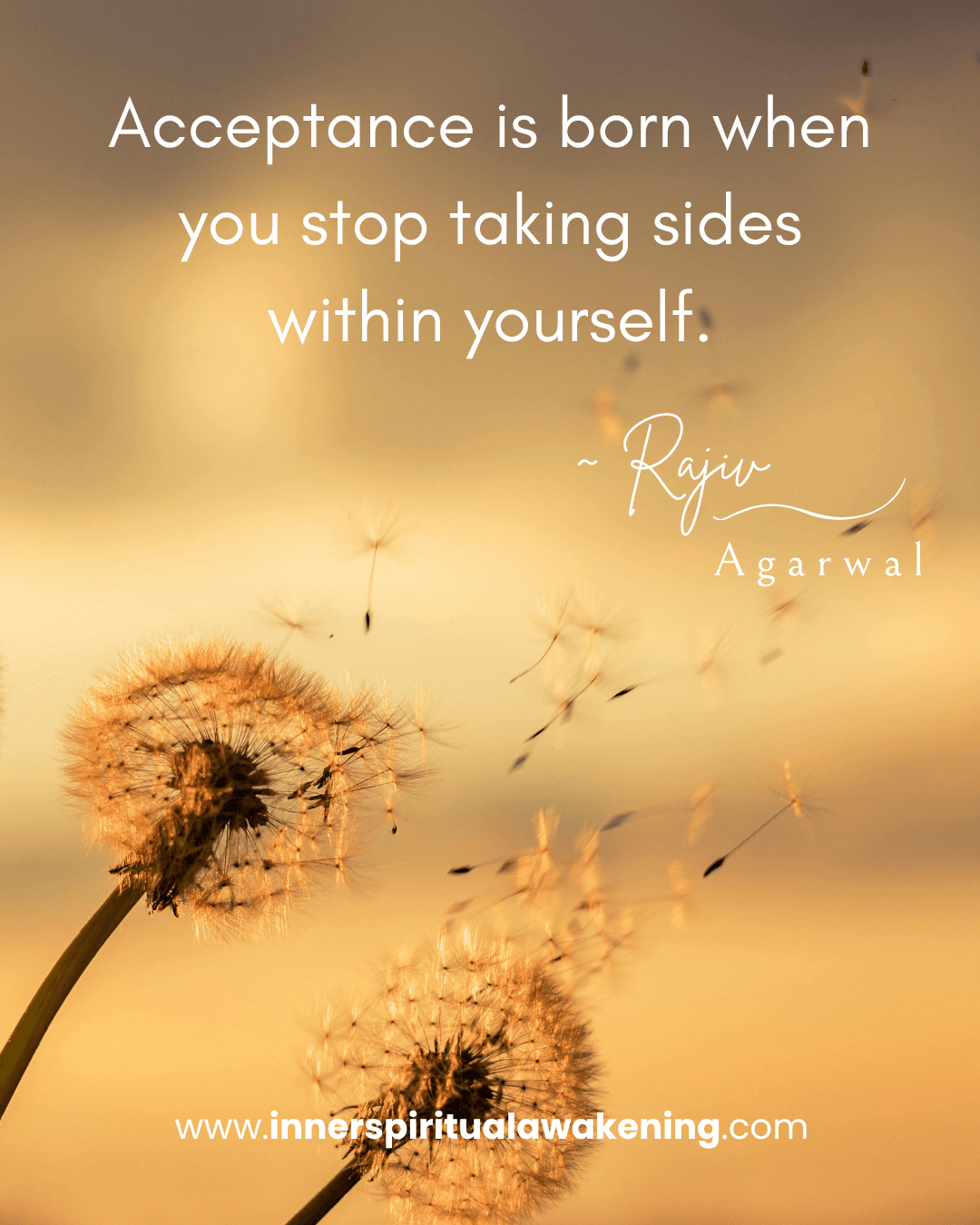 163 Acceptance is born when you stop taking sides within yourself