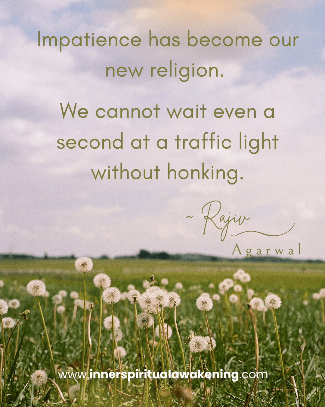 18_Impatience has become our new religion. We can’t even wait an extra second once a traffic light turns green without honking