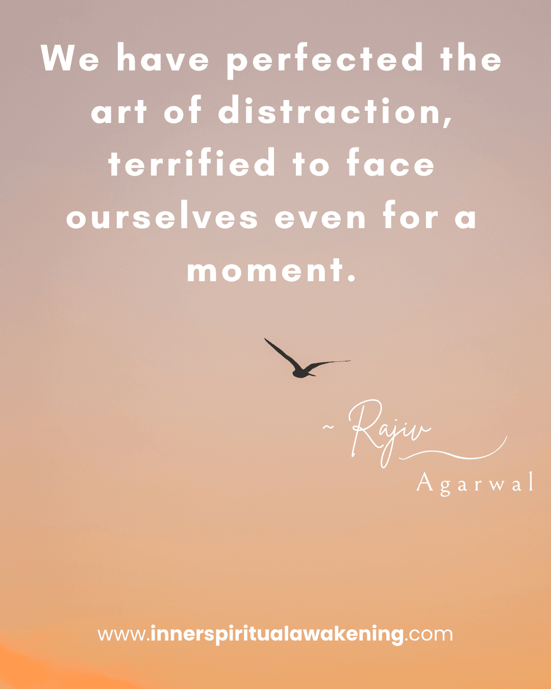 29 We have spent lifetimes perfecting the art of distraction, terrified of facing ourselves for even a moment