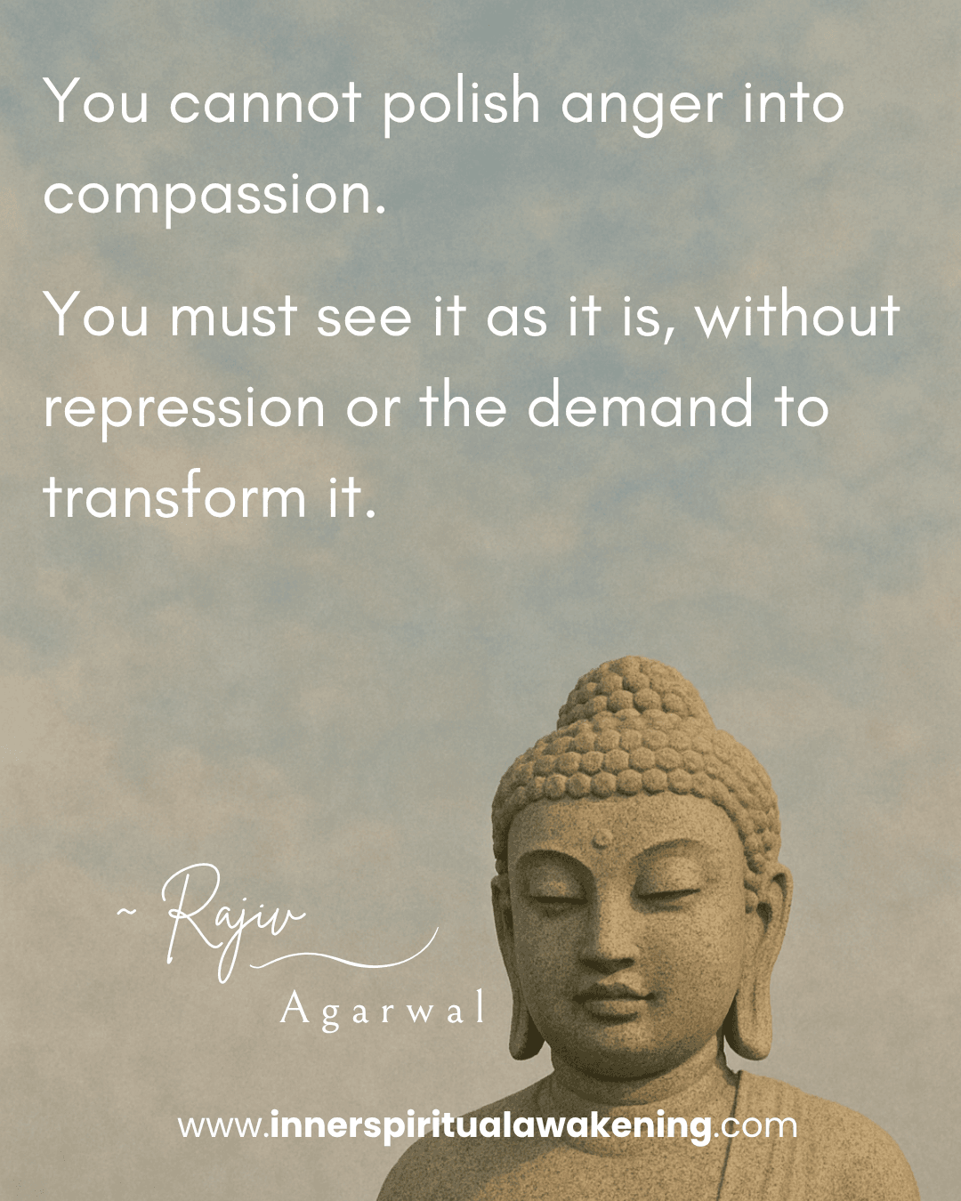 42 You cannot polish anger into compassion. You must see it as it is without repression or the demand to transform it