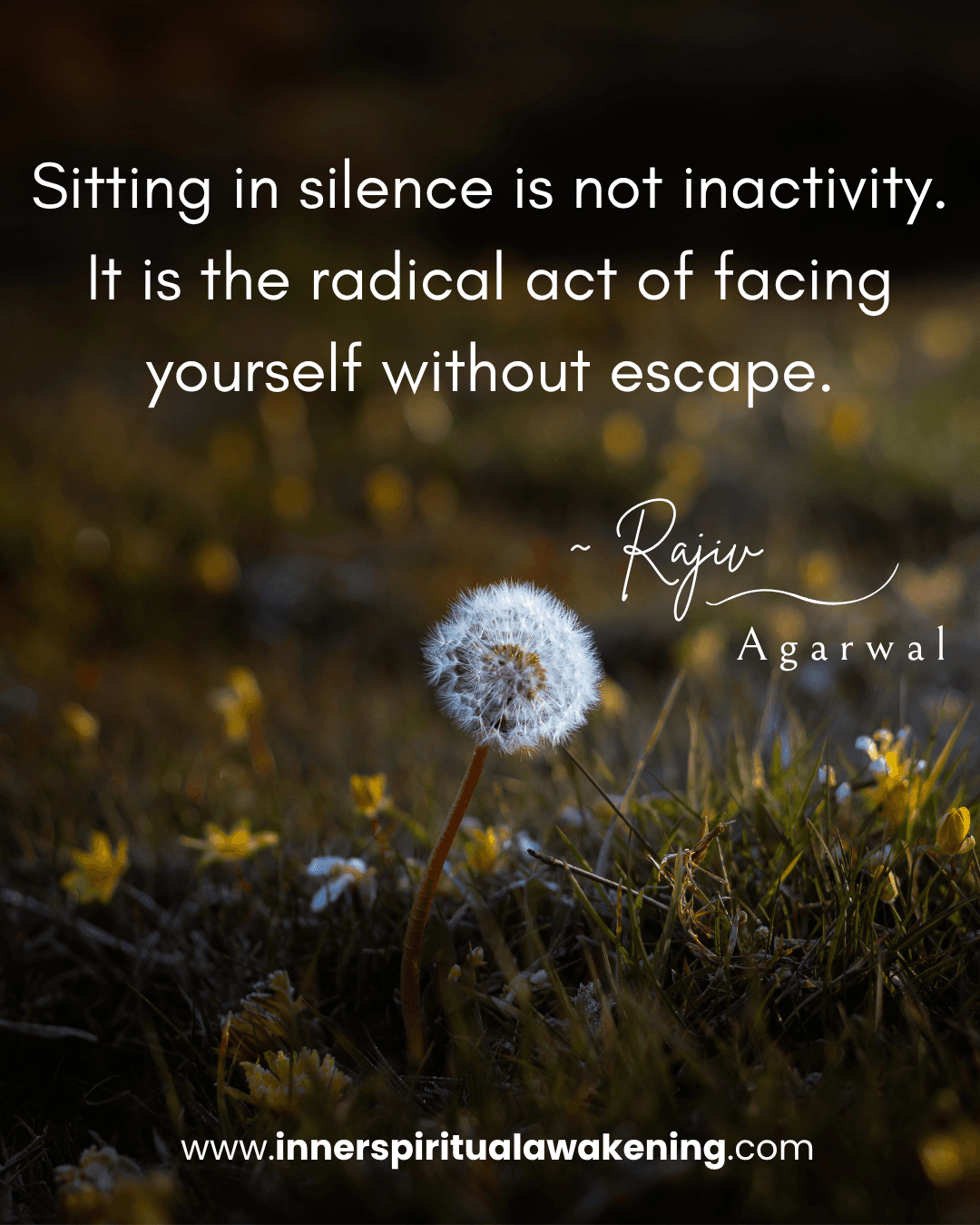 46 Sitting in silence is not inactivity. It is a radical act of facing yourself without escape