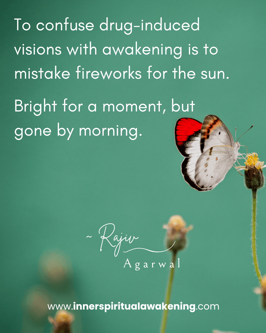 58 To confuse drug-induced visions with awakening is to mistake fireworks for the sun. Bright for a moment, but gone by morning