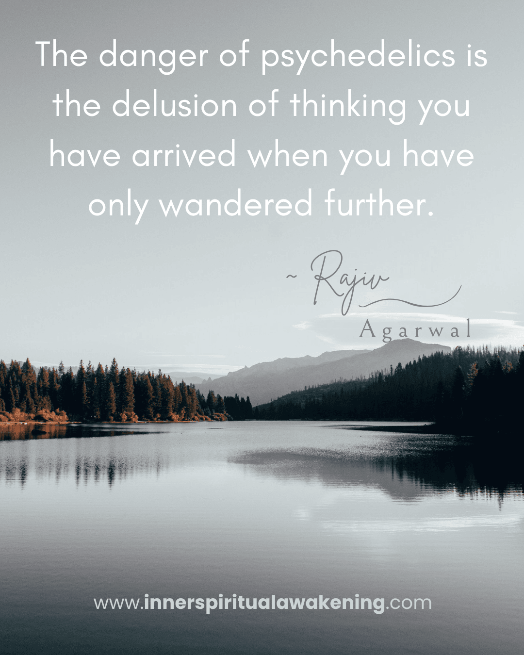 59 The danger of psychedelics is the delusion of thinking you have arrived when you have only wandered further