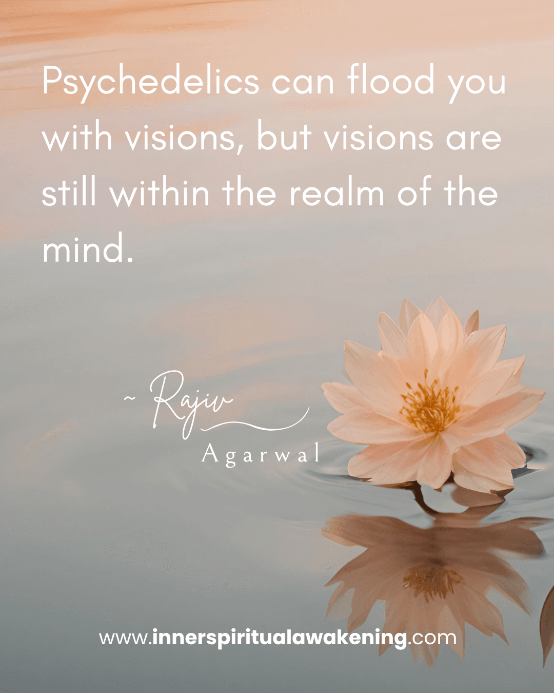 61 Psychedelics can flood you with visions, but visions are still within the realm of the mind