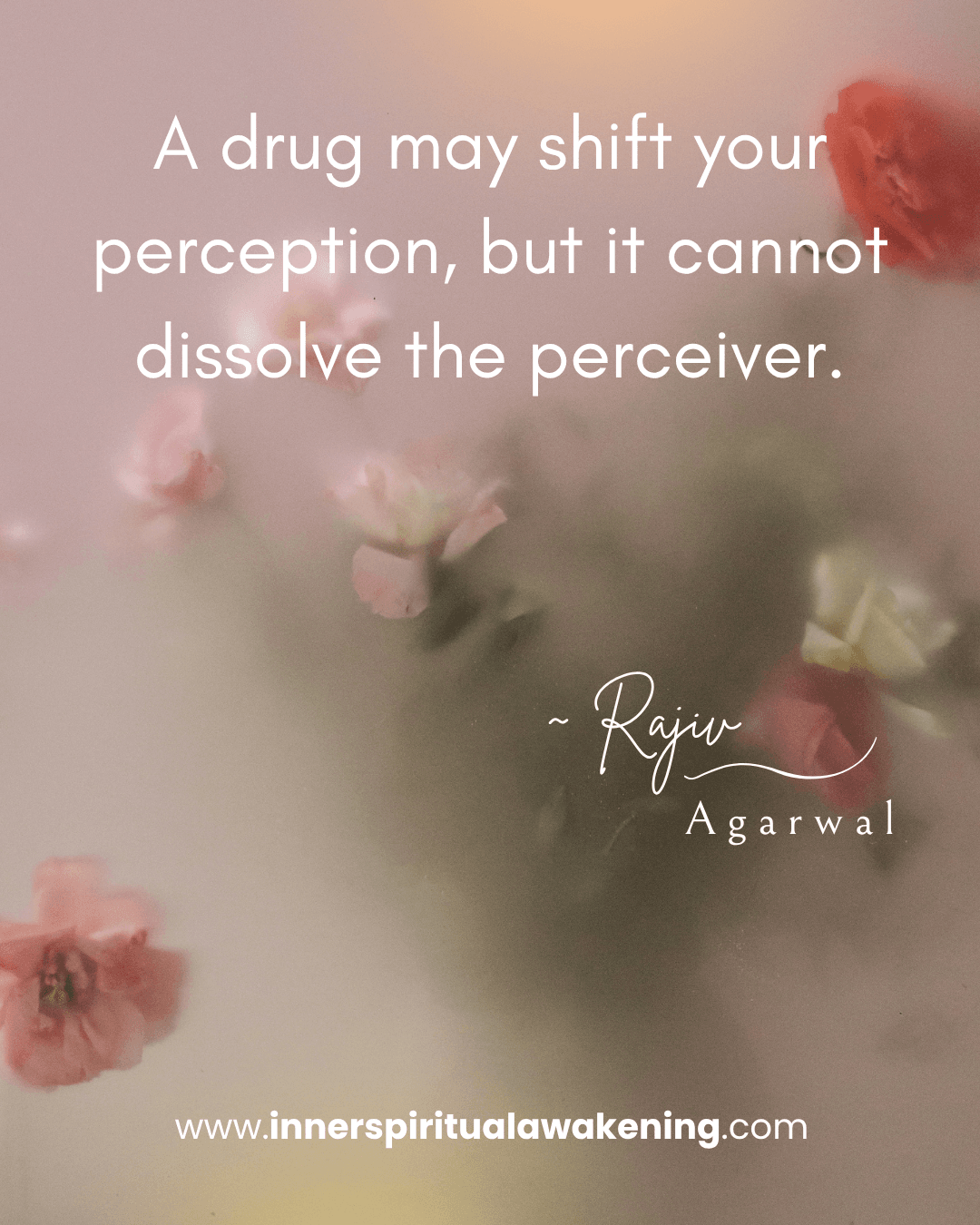 64 A drug may shift your perception, but it cannot dissolve the perceiver