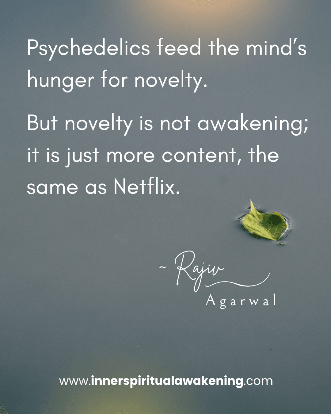 65 Psychedelics feed the mind’s hunger for novelty. But novelty is not awakening; it is just more content, the same as Netflix
