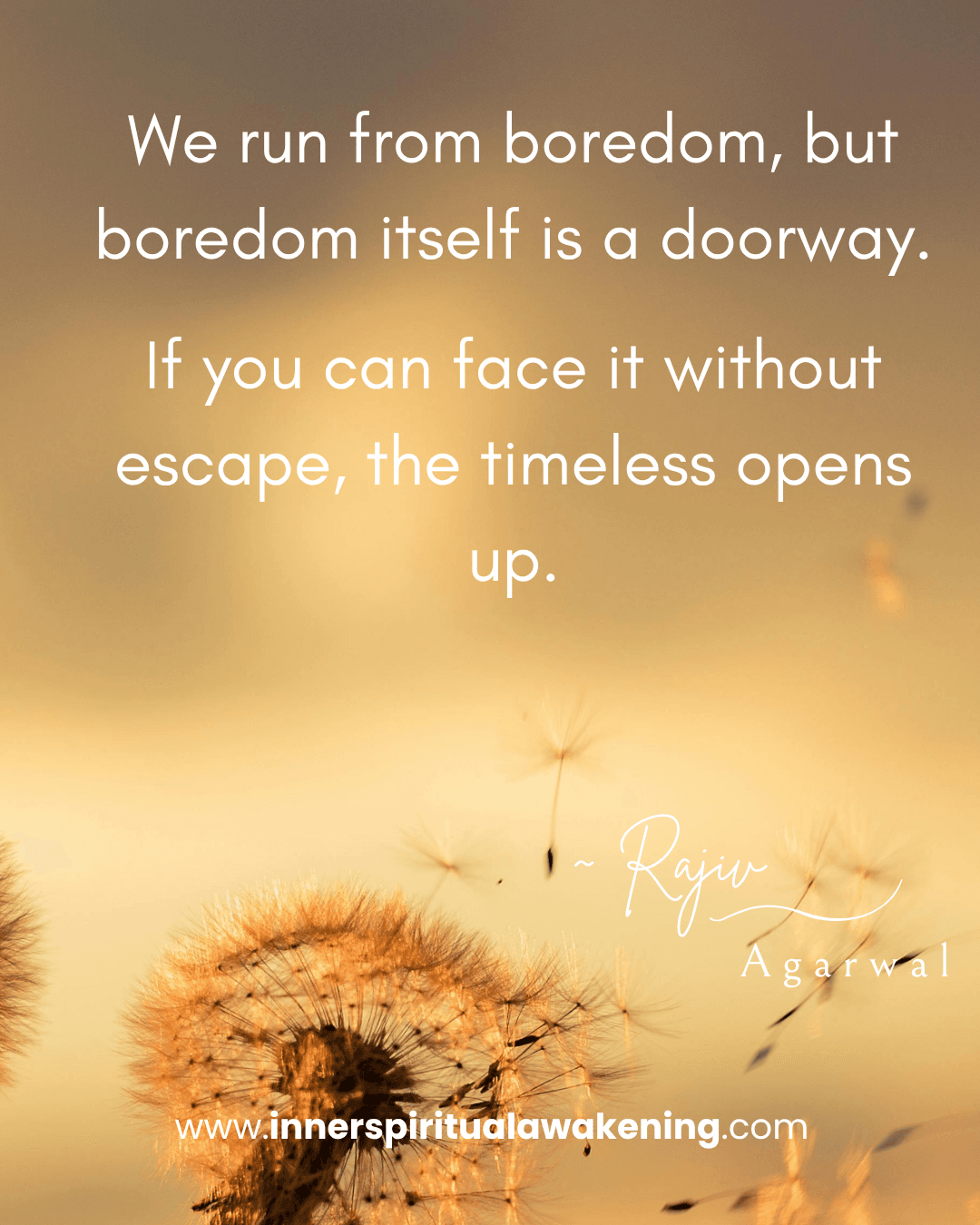 69 We run from boredom, but boredom itself is a doorway. If you can face it without escape, the timeless opens up