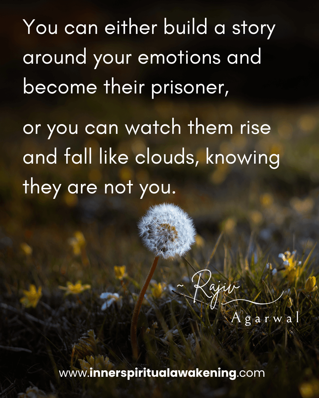 93 You can either build a story around your emotions and become their prisoner, or you can watch them rise and fall like clouds, knowing they are not you