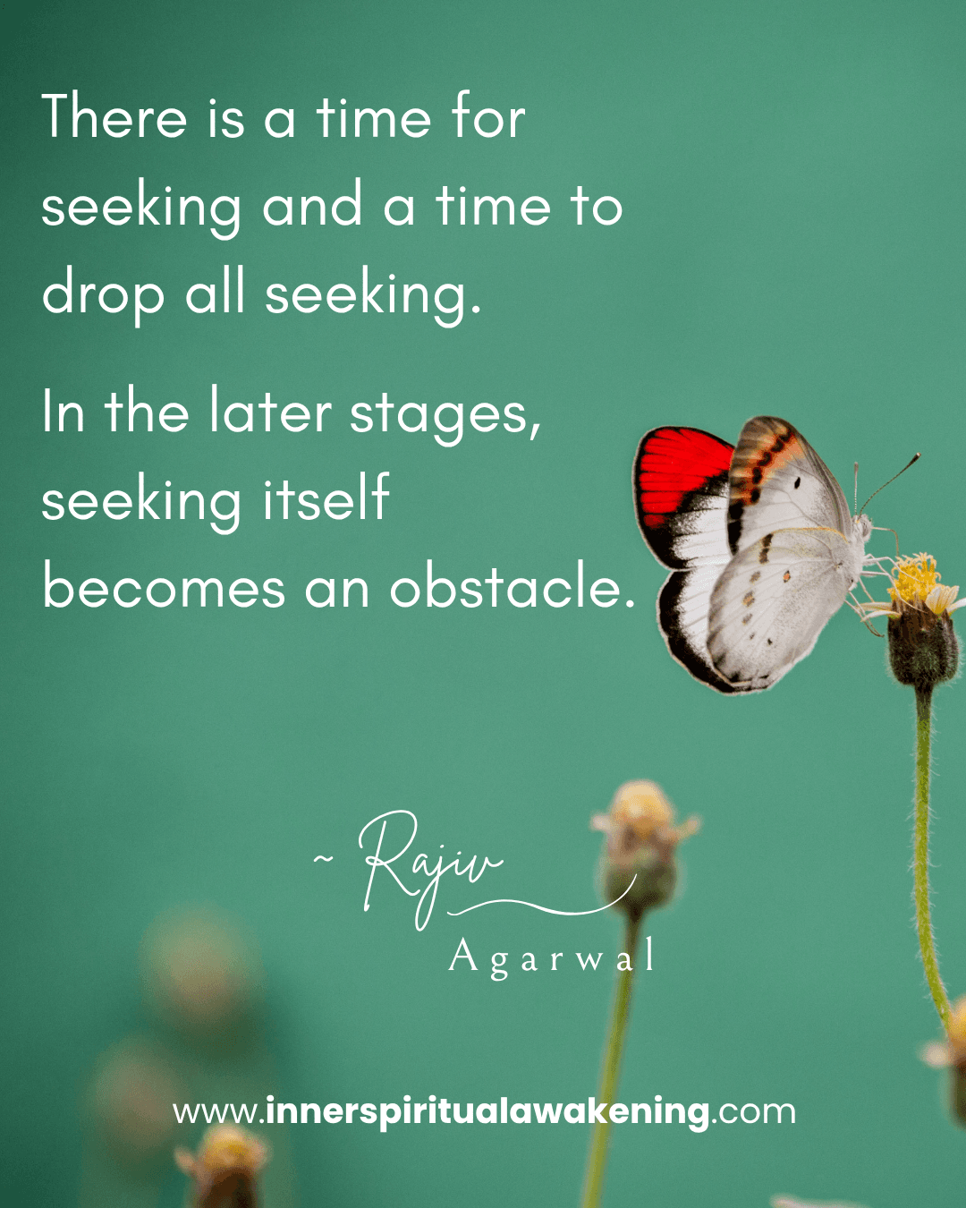 9_There is time for seeking and a time to drop all seeking. In the later stages, seeking itself can become an obstacle
