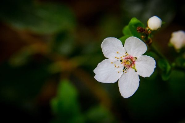IMG_7175-2