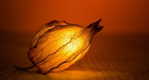 i consciousness non dulaity event